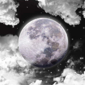 Moon Everrise