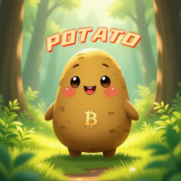 Potato