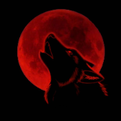 Red Moon Wolf