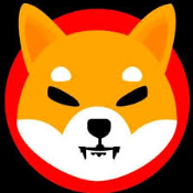 FlokiShiba