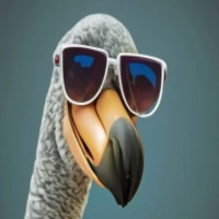 Dodo 2.0 REBIRTH