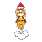 RocketDoge