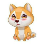 BABY KEN INU