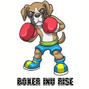 Boxer Inu Rise