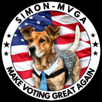 SIMON ON SOL