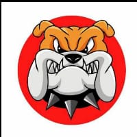 Bull dog inu