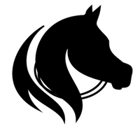 ArabHorse