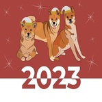 SHIBA 2023