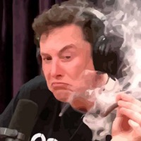 ELON MANTA