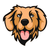 Baby Golden