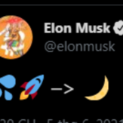 ElonWaterMoon