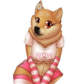 Sexy Doge
