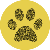 Ailuropodinae Finance