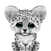 Little Snow Leopard