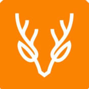 Bestia Token