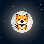 BabyMoonDoge