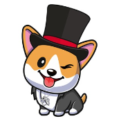 Mini Hollywood Doge