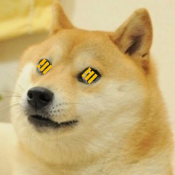 Mini BUSDoge