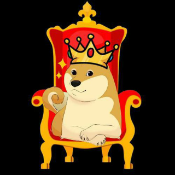 KingBabyDoge