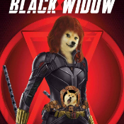 Doge Widow