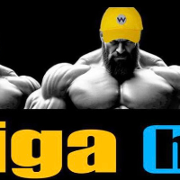 GIGA HUB