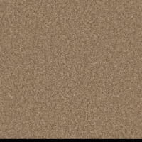 Carpet Coin