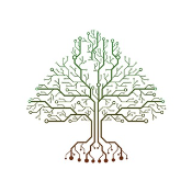 CedarToken