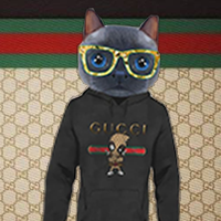Gucci Cats