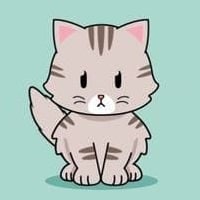 Sweetest Tiniest Cute Baby Kitty