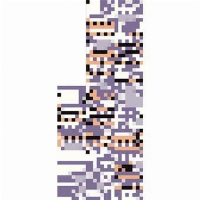 MissingNo