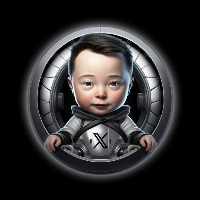 LIL X ELON SON
