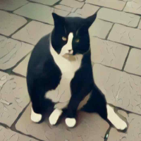ChunkyCat