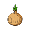 Onion