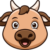 Boga Yekcoin