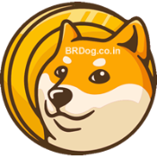BRDog.co.in