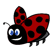 Little LadyBird