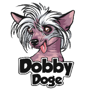 DobbyDoge