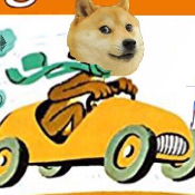 DogeGo