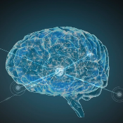 Big Brain Token