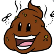 SHIBA POOP