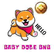 Baby Doge BNB