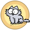 Kitten CAT