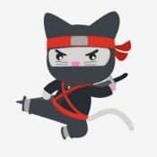 Ninja Cat