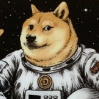 Doge SpaceW