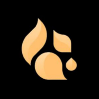 Squirrel Technologies