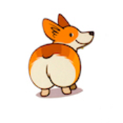 CorgiAss