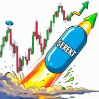 ErektCoin