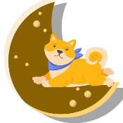 Little Doge Moon