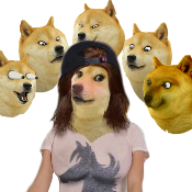 DogeBang