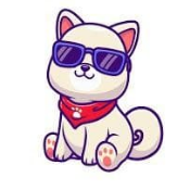 Little Kishu Inu
